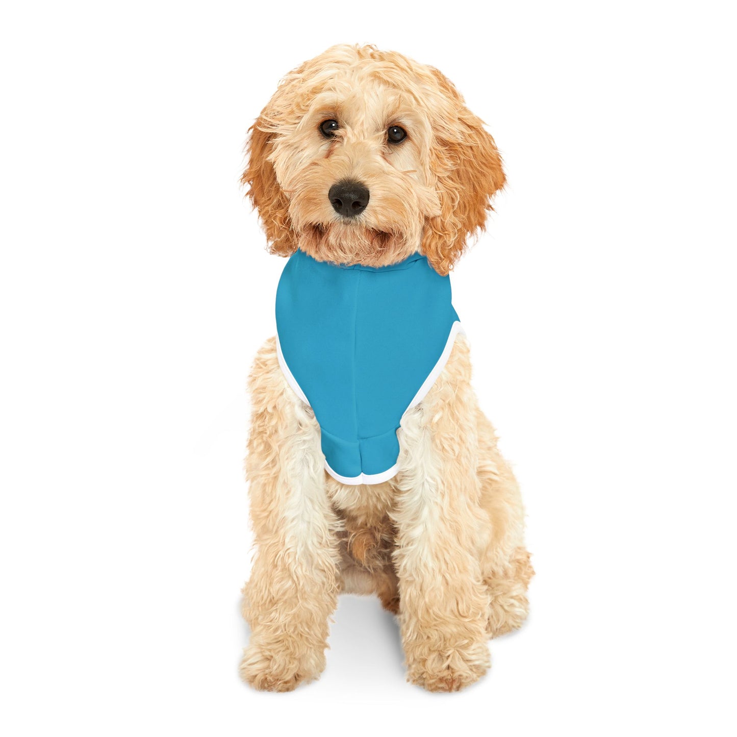 SJU Customizable Pet Hoodie for Cozy Comfort - Perfect for Celebrations and Everyday Wear