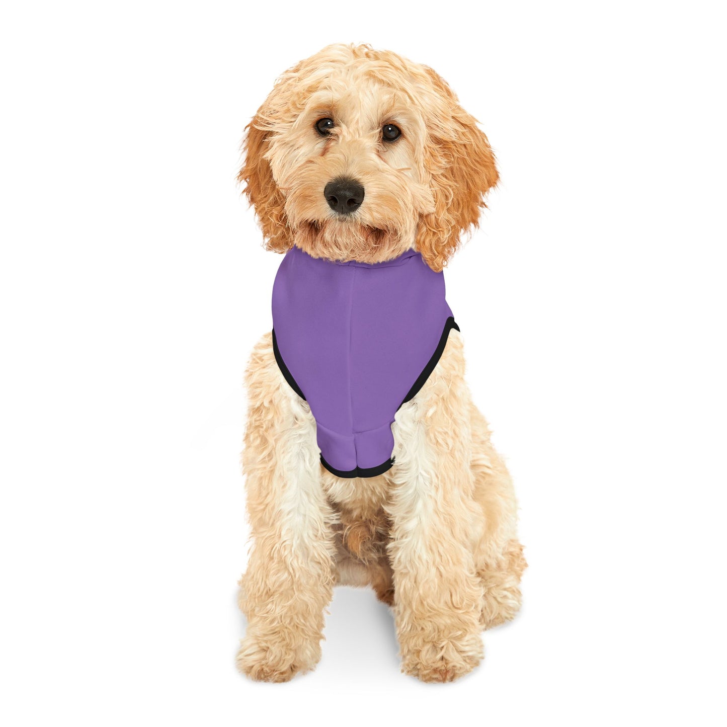 787 Rainbow Customizable Pet Hoodie for Cozy Comfort - Perfect for Celebrations and Everyday Wear