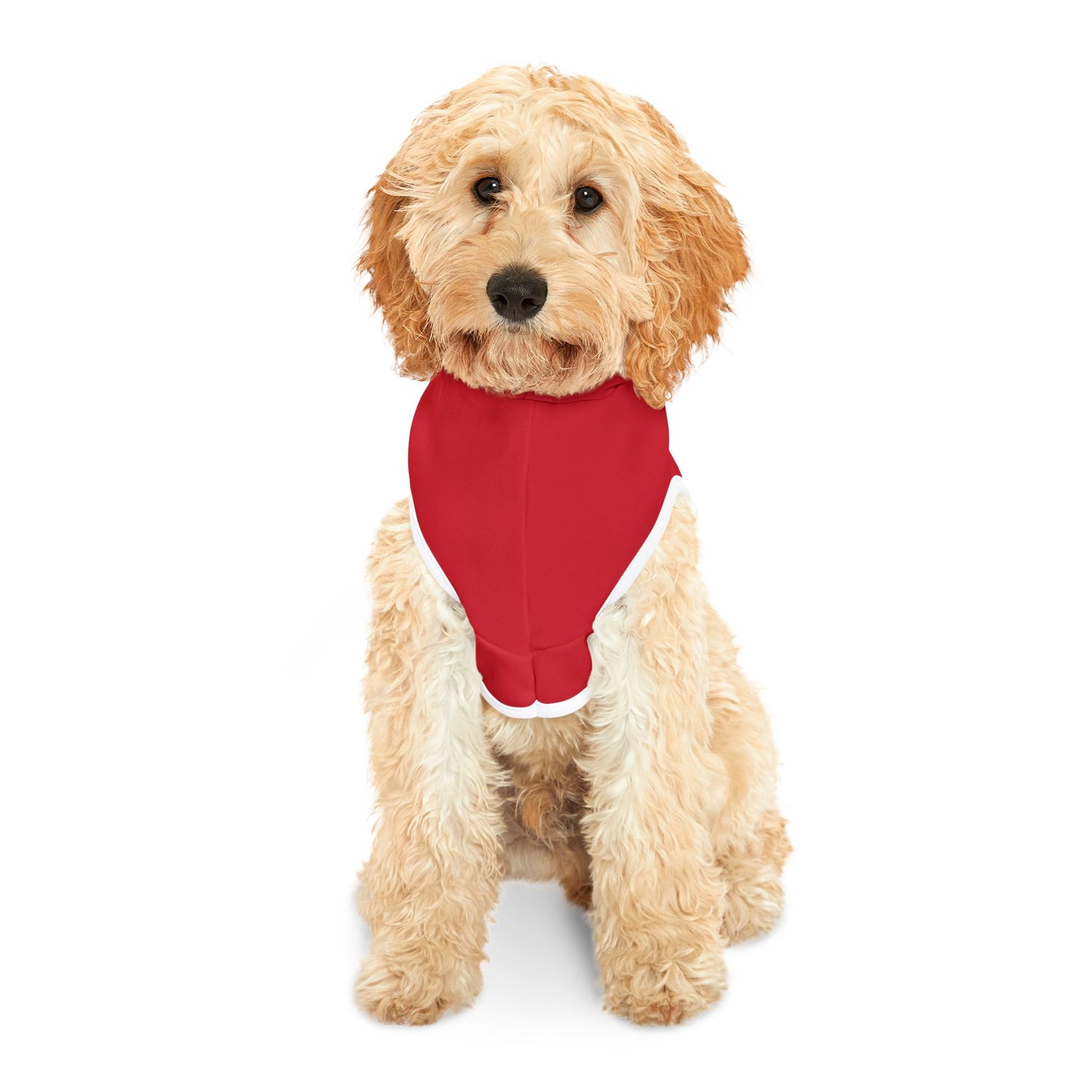 STL Customizable Pet Hoodie for Cozy Comfort - Perfect for Celebrations and Everyday Wear