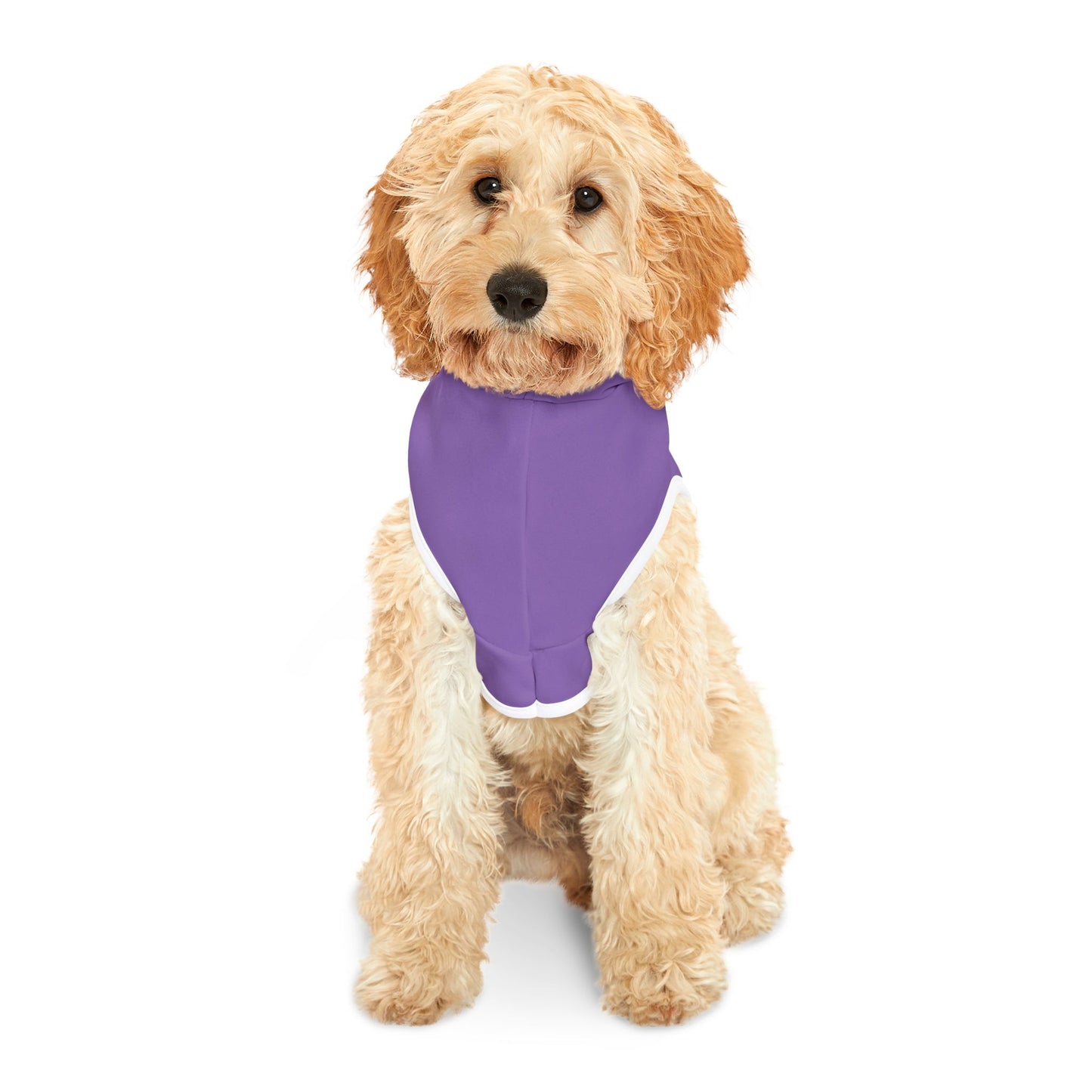787 Rainbow Customizable Pet Hoodie for Cozy Comfort - Perfect for Celebrations and Everyday Wear