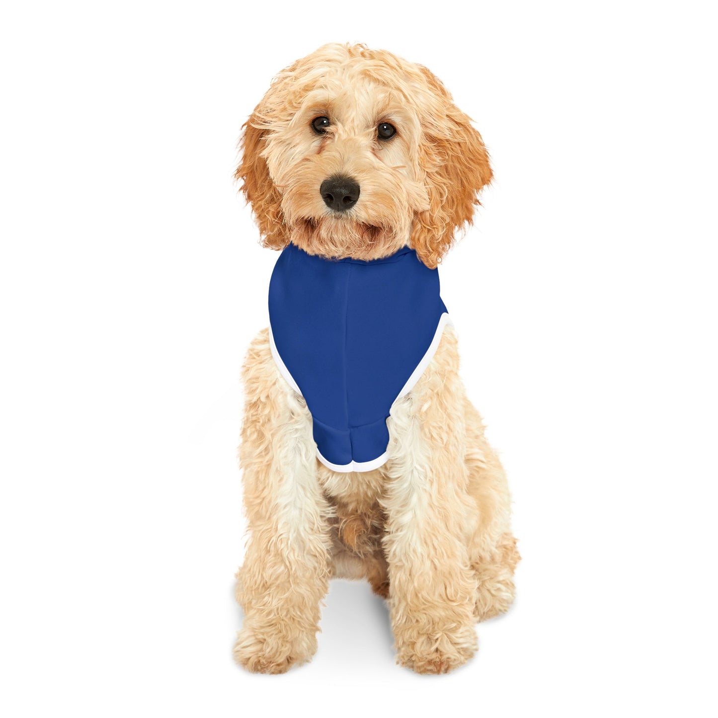 314 Customizable Pet Hoodie for Cozy Comfort - Perfect for Celebrations and Everyday Wear