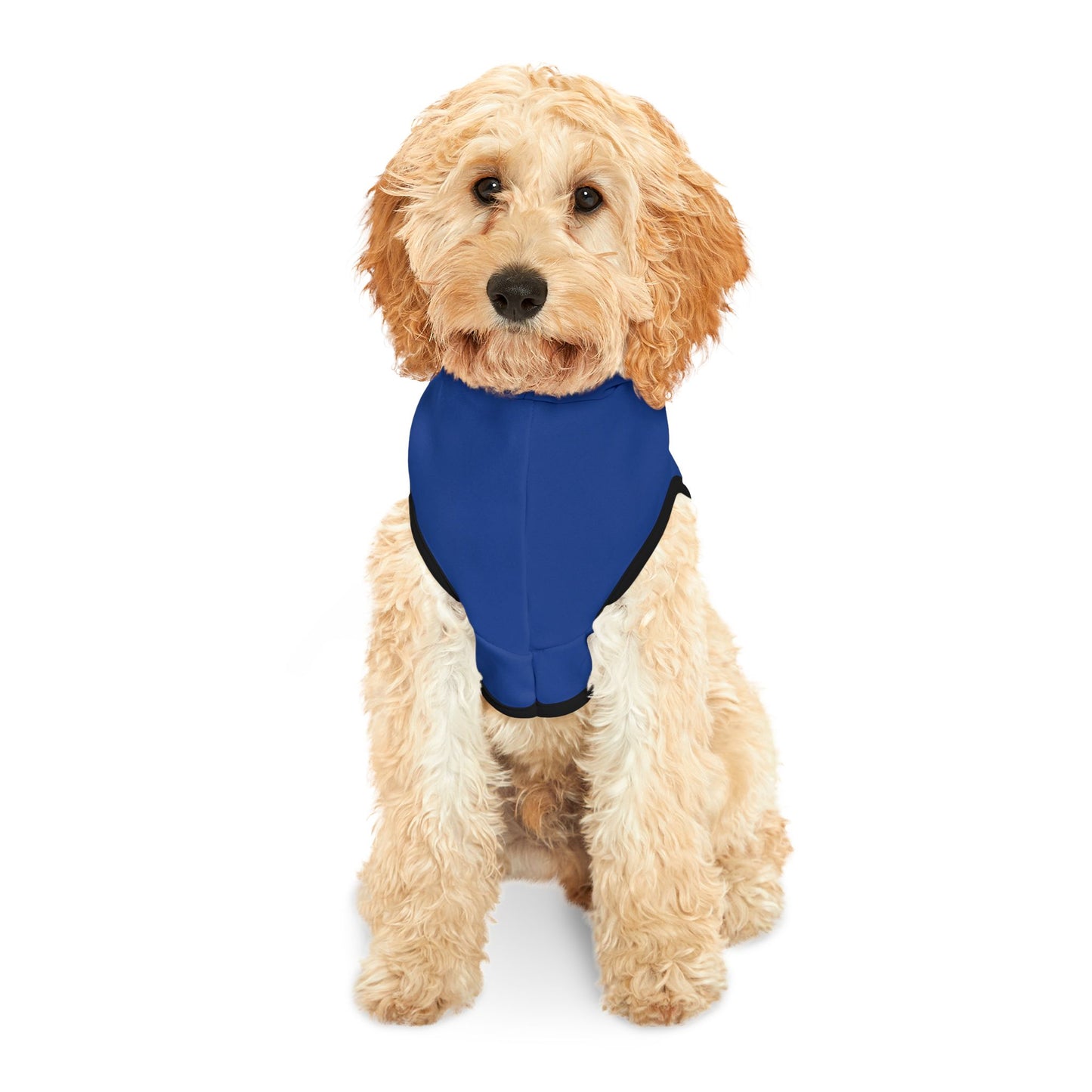 314 Customizable Pet Hoodie for Cozy Comfort - Perfect for Celebrations and Everyday Wear