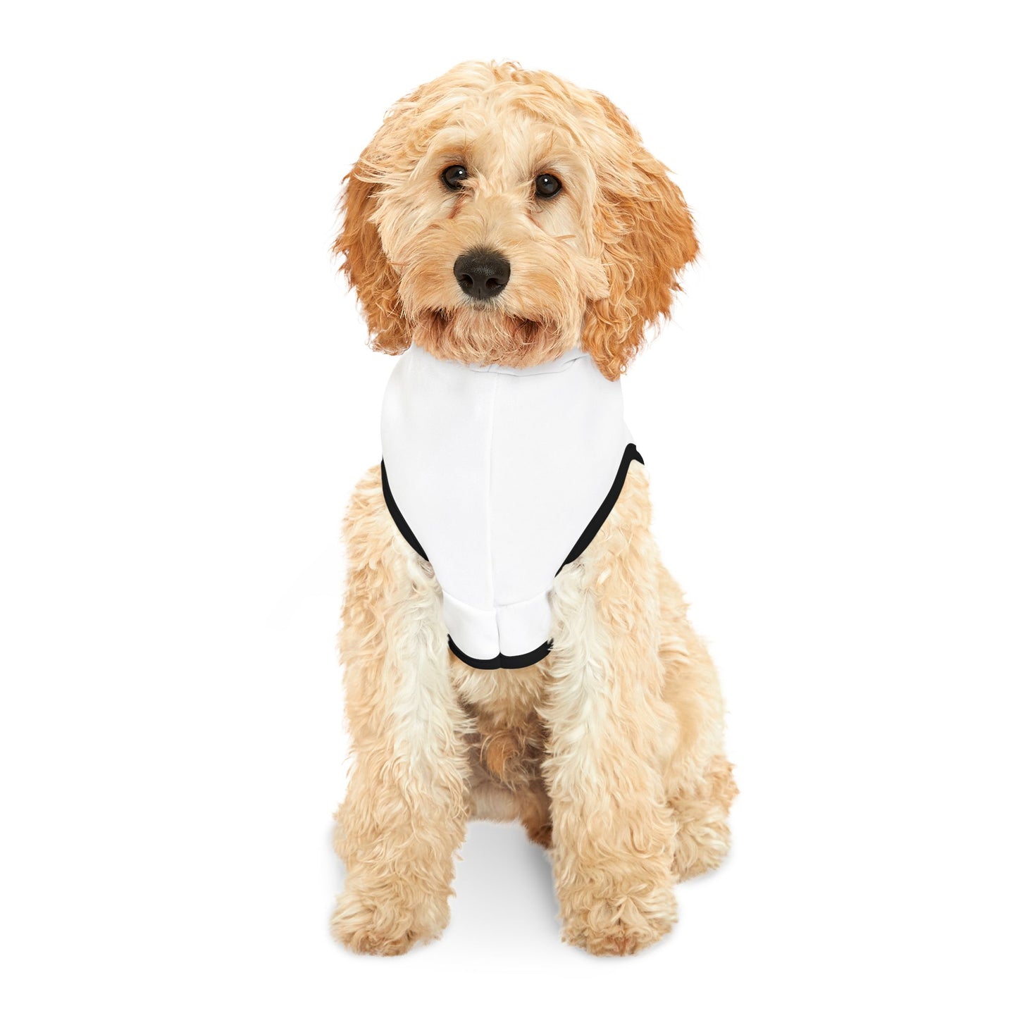 The Lou Customizable Pet Hoodie for Cozy Comfort - Perfect for Celebrations and Everyday Wear