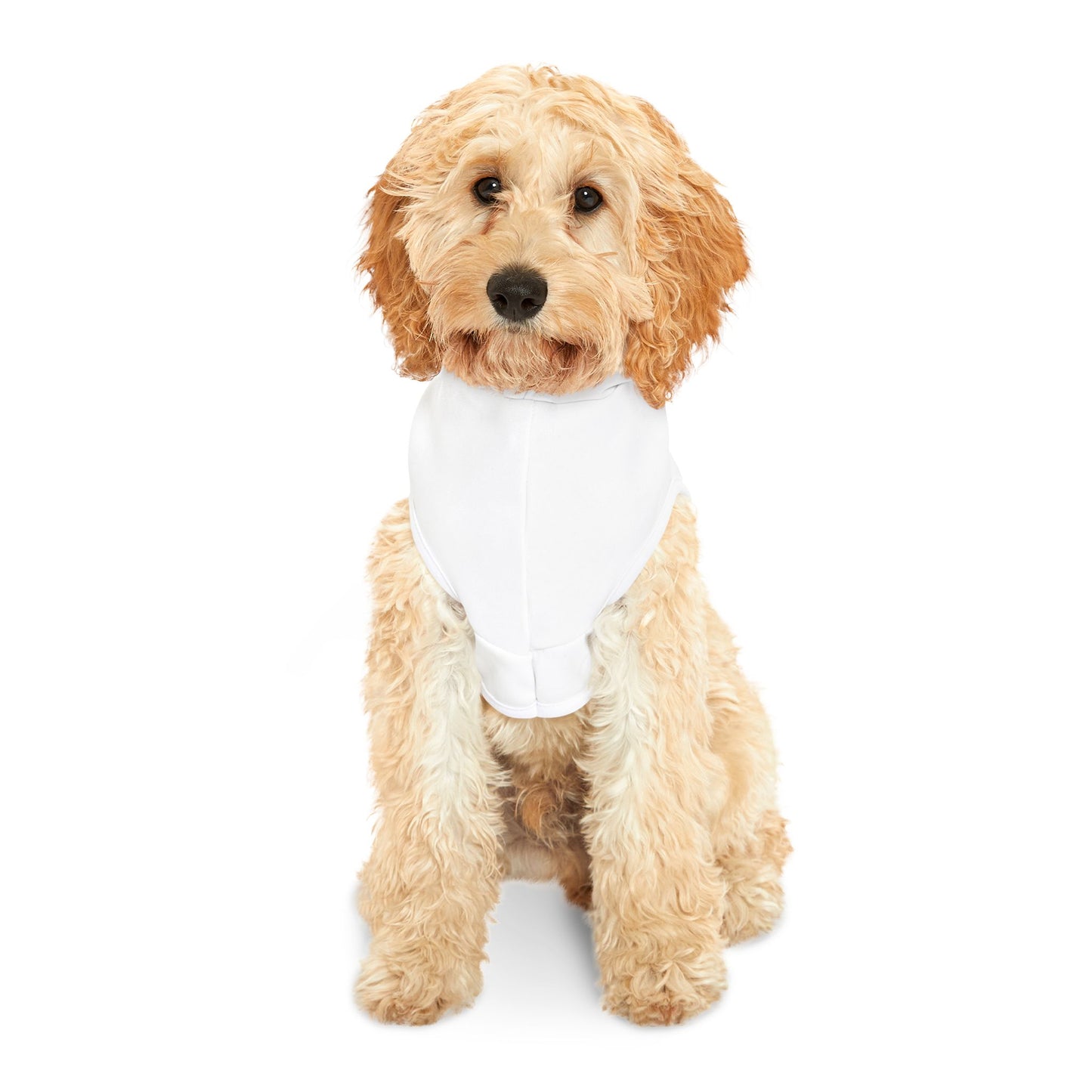 The Lou Customizable Pet Hoodie for Cozy Comfort - Perfect for Celebrations and Everyday Wear