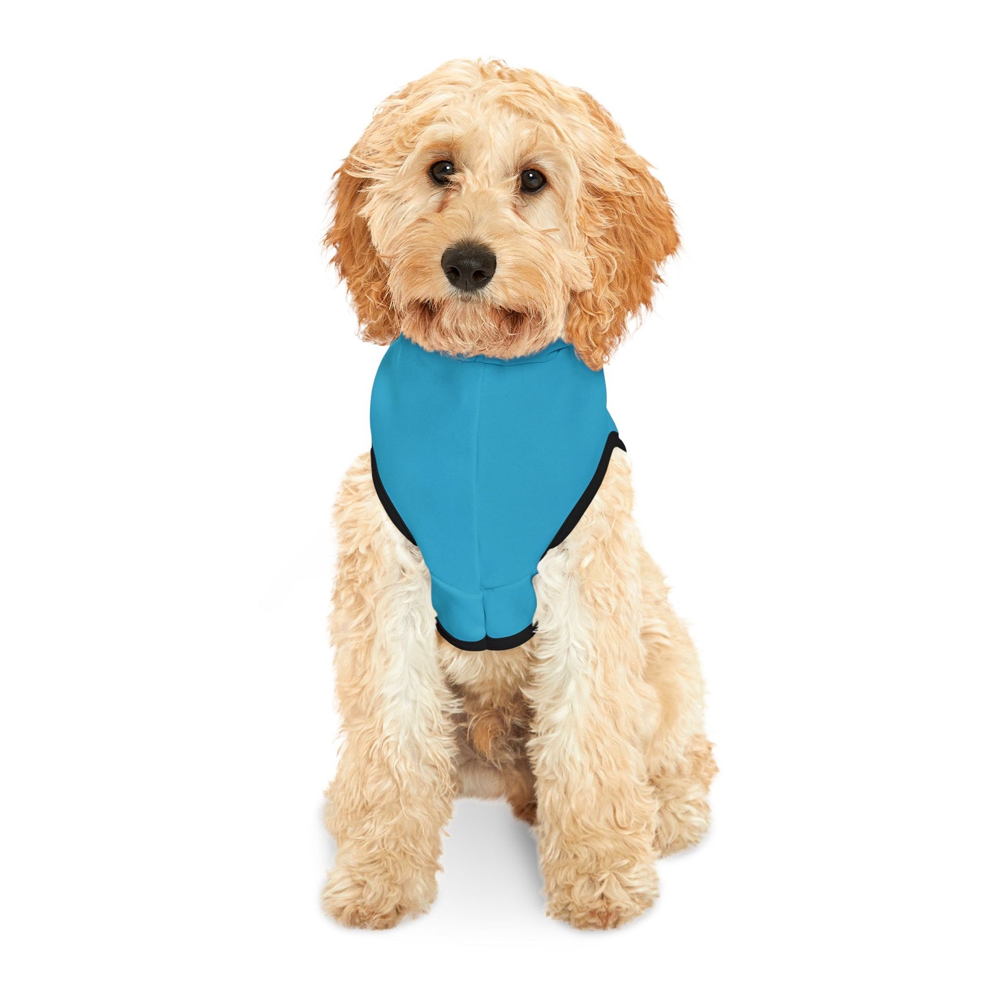 SJU Customizable Pet Hoodie for Cozy Comfort - Perfect for Celebrations and Everyday Wear